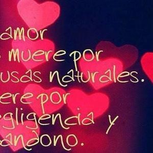 Meet your Posher, Lilia